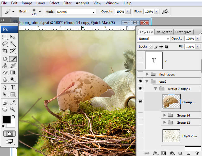 hippo, photoshop, nest, egg, shell, flying hippo, cute, baby, wings, hippopotamus, feathers